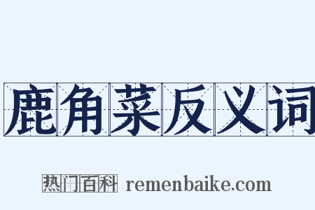 鹿角菜反义词是什么意思的图片